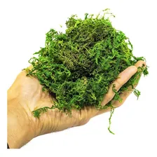 Musgo Artificial Verde Para Arranjos E Jardins 300g Foto mini 2