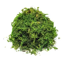 Musgo Artificial Verde Para Arranjos E Jardins 300g Foto mini 1