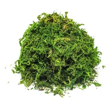 Musgo Artificial Verde Para Arranjos E Jardins 50g Foto mini 1