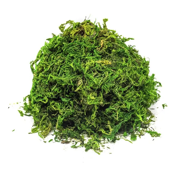 Musgo Artificial Verde Para Arranjos E Jardins 50g Foto 1