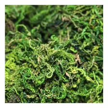 Musgo Artificial Verde Para Arranjos E Jardins 50g Foto mini 4