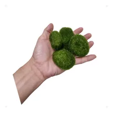 Musgo Em Pedra Artificial Pacote Com 8 Foto mini 4