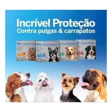 NexGard Antipulgas E Carrapatos Para Cães 25 A 50kg Foto mini  2