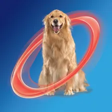 NexGard Spectra Antipulgas e Vermífugo Cães 30,1kg a 60kg 1 tablete Foto mini 3