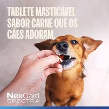 NexGard Spectra Antipulgas e Vermífugo Cães 30,1kg a 60kg 1 tablete Foto mini 4