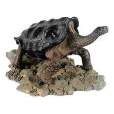 Nomoypet Enfeite Tartaruga Galapagos 15x9,5x9cm A8 Foto mini 1