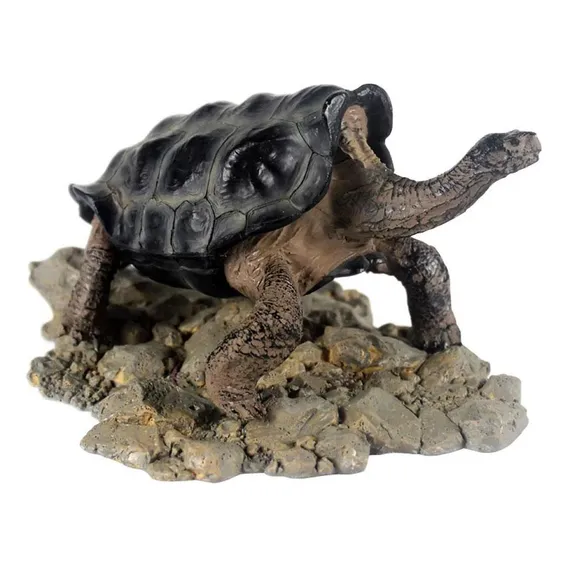 Nomoypet Enfeite Tartaruga Galapagos 15x9,5x9cm A8 Foto 1