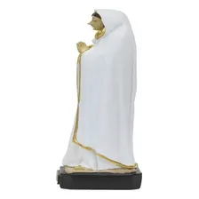 Nossa Senhora Da Rosa MÃstica 19cm - Enfeite Resina Foto mini 3