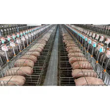 Núcleo Premix P/ Suinos 15 Kg Faz 3,75 Ton Ração P/ Porco Foto mini 2