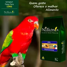 Nutr贸pica Papa Para L贸ris 5kg. - Profissional Foto mini 2