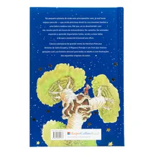 O Pequeno Príncipe | Capa Dura Almofadada Foto mini  2