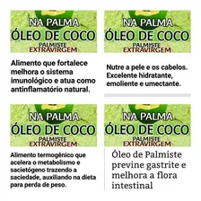 Óleo De Coco Na Palma Extravirgem 500ml 100% Sem Sabor Foto mini 3