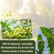 Óleo De Nim Neem Puro 100 % Com Pulverizador /plantas E Pets Foto mini 4