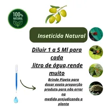 Óleo De Nim Neem Puro 100 % Com Pulverizador /plantas E Pets Foto mini 2