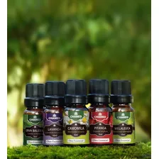 Óleo Essencial De Eucalipto Globulus 10ml Puro - Chamed Foto mini 3