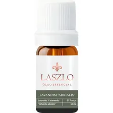 Óleo Essencial De Lavandim Abrialis Gt França 10ml - Laszlo Foto mini 1