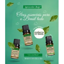 Óleo Essencial Eucalipto Citriodora 30ml - Puro Foto mini  3