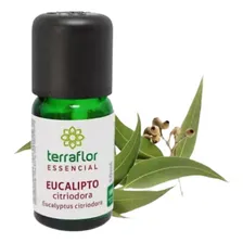 Óleo Essencial Eucalipto Citriodora Terraflor 10ml Foto mini 1