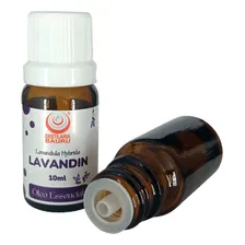 Óleo Essencial Lavandin Grosso 100ml Foto mini 2