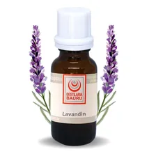 Óleo Essencial Lavandin Grosso 100ml Foto mini 3
