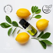 Óleo Essencial Limão Siciliano 10ml 100% Puro Seja Essencial Foto mini 3