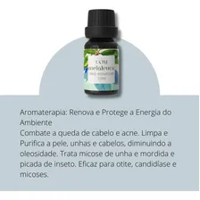 Óleo Essencial Melaleuca Tea Tree 10ml 100% Puro Foto mini  3