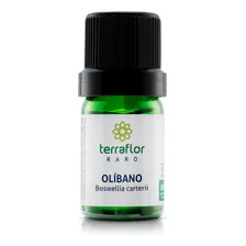 Óleo Essencial Olíbano Terra Flor 5ml Foto mini 1