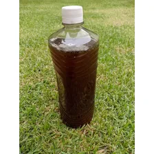 Óleo Mocotó Puro Para Peças Couro Hipismo Sela Arreio Cinto Foto mini 2