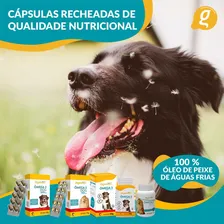 Omega 3 Dog 500mg - Organnact Foto mini  3