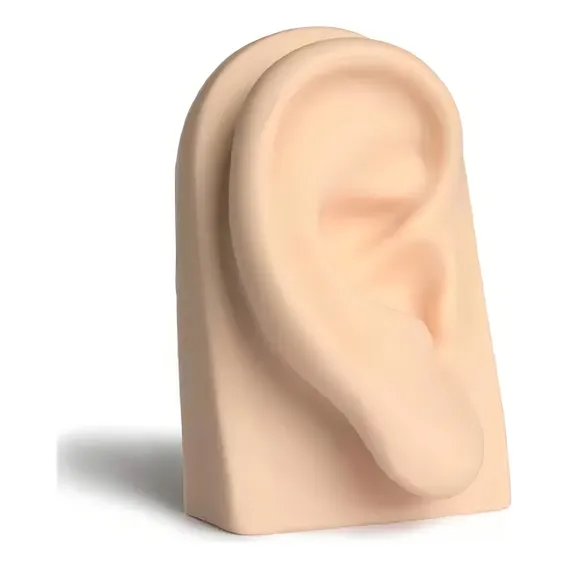 Orelha Direita Silicone Expositor Piercings Realista Foto 1