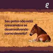Organnact Potros Corpore Potros Suplemento Aminoácidos Pó 3kg Foto mini 4