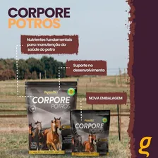 Organnact Potros Corpore Potros Suplemento Aminoácidos Pó 3kg Foto mini 2