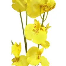 Orquidea Artificial Chuva De Ouro Para Arranjos Foto mini  2
