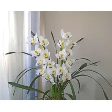 OrquÃdea Artificial Toque Real Cymbidium Branca Foto mini 3