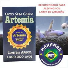 Ovos de Artemia Sem Casca 20ml para Alevino filhote de peixe Foto mini 2