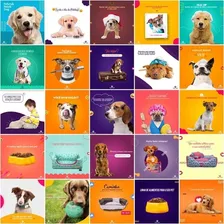 Pack 320 Artes Para Pet Shop Editáveis Psd Pdf Foto mini 3