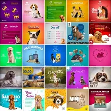 Pack 320 Artes Para Pet Shop Editáveis Psd Pdf Foto mini 2