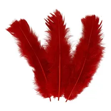 Pacote De Plumas E Penas Coloridas 200 Unidades Cor Vermelho Foto mini 1