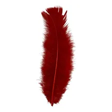 Pacote De Plumas E Penas Coloridas 200 Unidades Cor Vermelho Foto mini 2