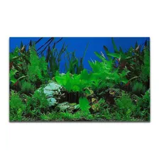 Painel Para AquƔrios Fundo Azul E Plantas Pp-081 30x200cm Foto mini 1