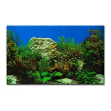 Painel Para Aquários Fundo Azul, Rochas E Plantas Pp-082 Foto  mini 1