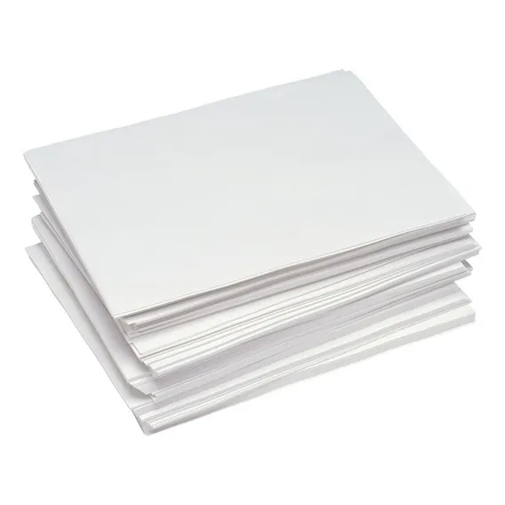 Papel Arroz Branco A4 1 Pacote C/20 Folhas Foto 1
