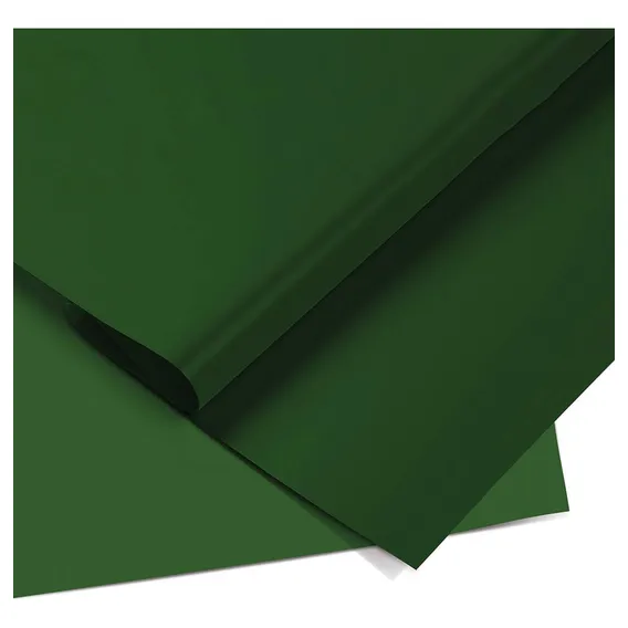 Papel Cartolina Dupla Face Colorset 48x66 Pct C/ 20 Cor Verde-escuro Liso Foto 1
