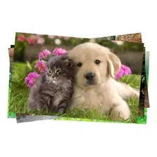 Papel Foto 150g A4 210x297mm 50 Folhas Brilhante Foto mini 3