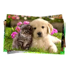 Papel Foto Adesivo A4 130g Glossy Branco Brilhante 50 Folhas Foto mini 2
