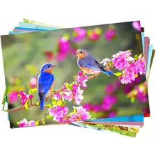Papel Fotográfico A4 150g Glossy Branco Brilhante 500 Folhas Foto mini  2