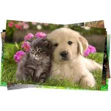 Papel Fotográfico A4 150g Glossy Branco Brilhante 500 Folhas Foto mini 4