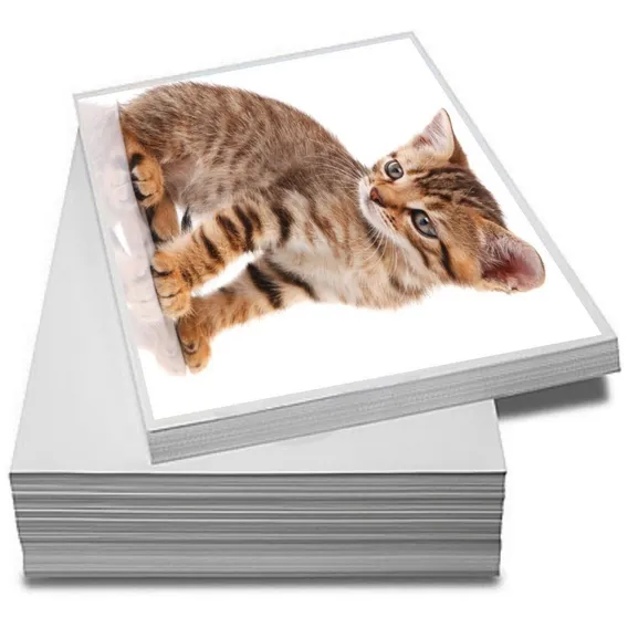 Papel Fotográfico Matte 230g Premum A4 A Prova Dágua 200 Folhas + Brinde Cor Branco Foto 1