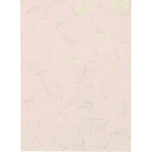Papel Moeda A4 P/ Documentos,diplomas 20 Folhas Foto 1