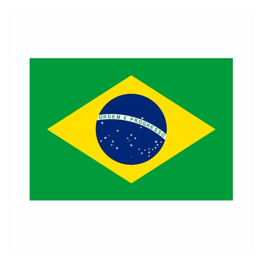 Par De Adesivos Bandeira Brasil 30cm Grande 2 Unidades Carro Foto 1